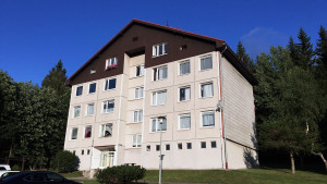 Apartmán u lesa