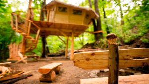 Treehouse pod Ještědem