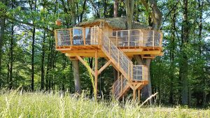 Treehouse u Borovice