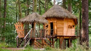 Treehouse Sojčí Hnízdo